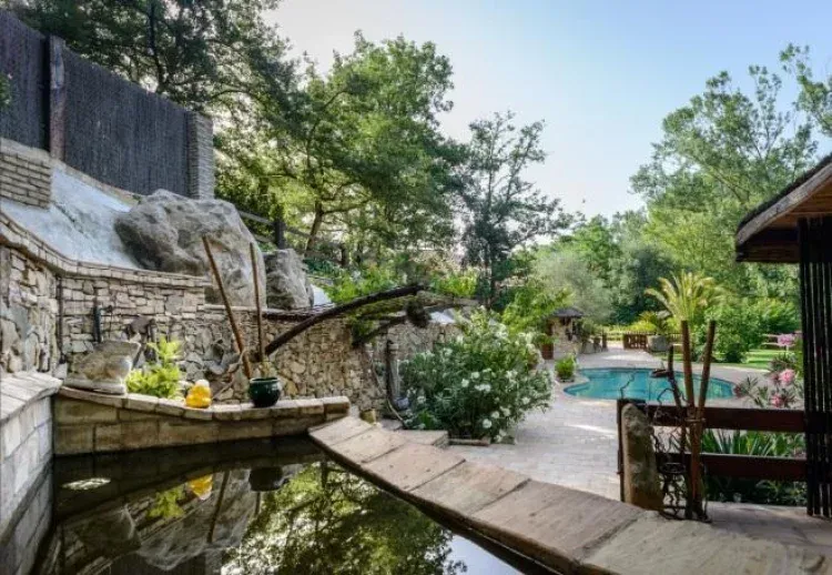 Imagen de Piscina Peces