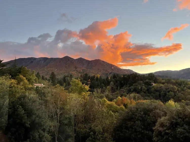 Imagen de Vista