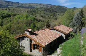 Imagen de Les Pedres i Els Pins d'Abella