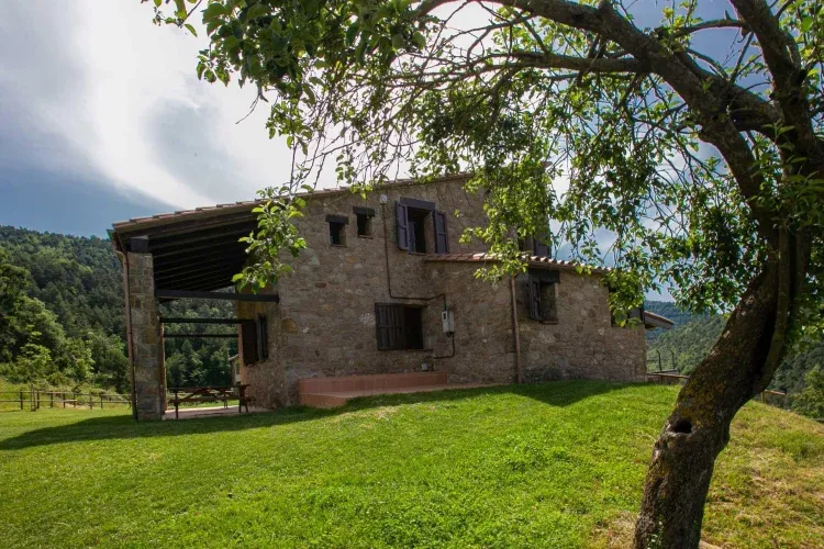 Imagen de Castellpalom
