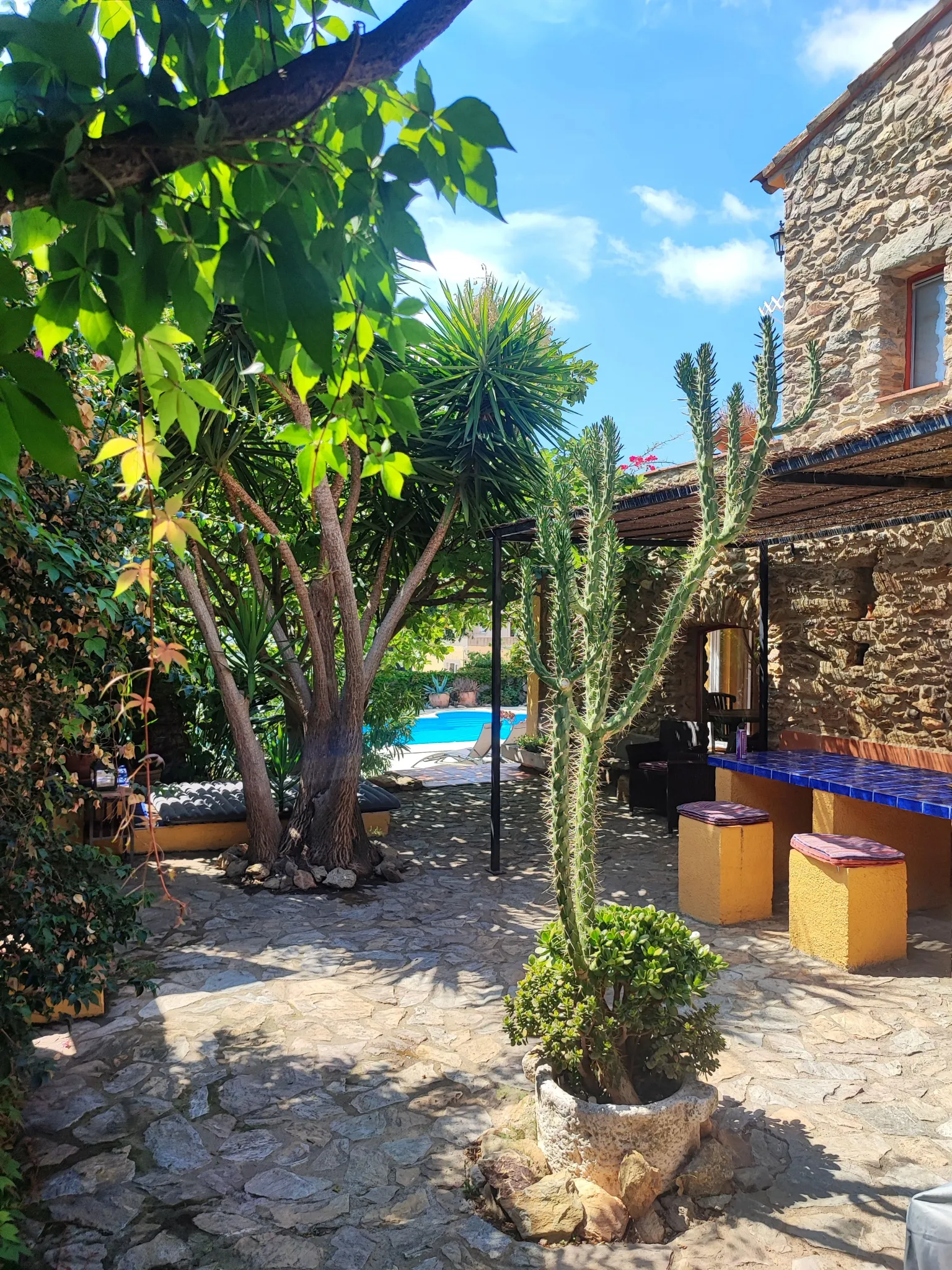 Imagen de jardín