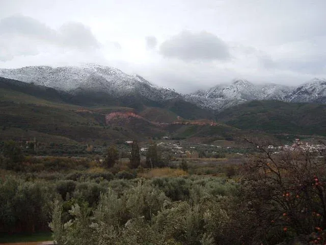 Imagen de Vistas