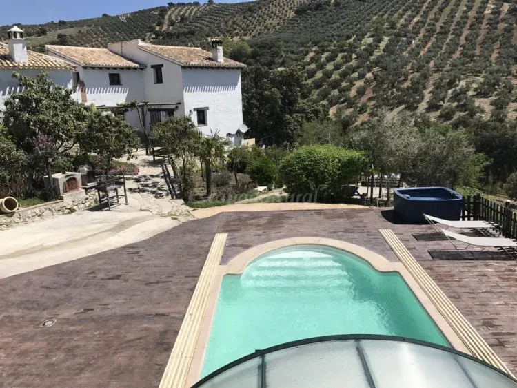 Imagen de nuevas zonas en la piscina