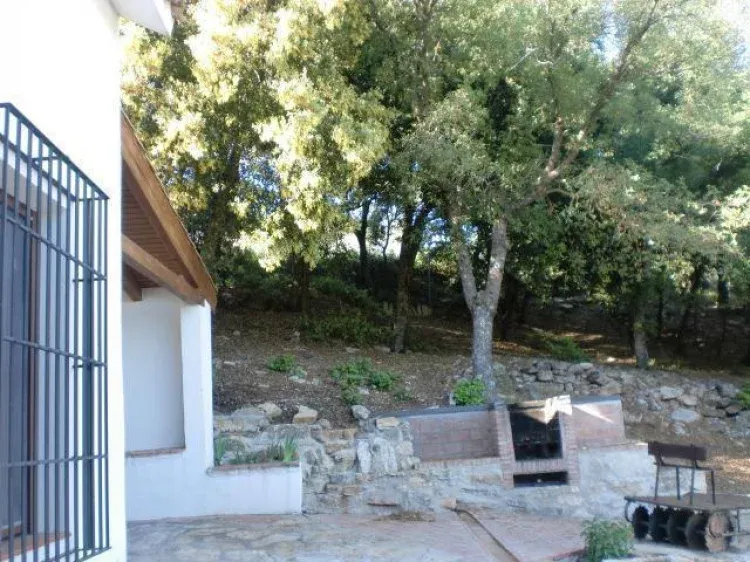 Imagen de Barbacoa