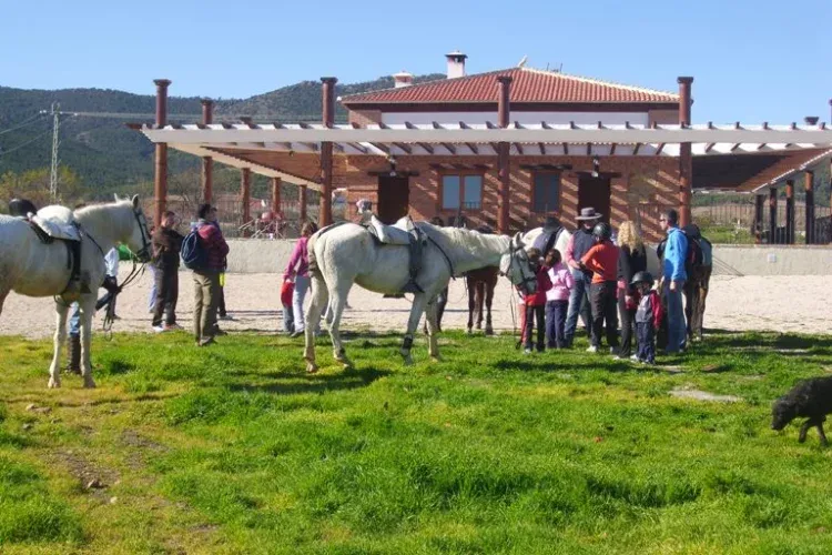 Imagen de Rutas a caballo