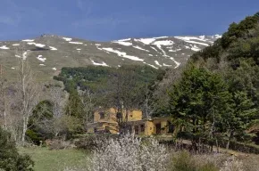 Imagen de Cortijo El Cerezo 