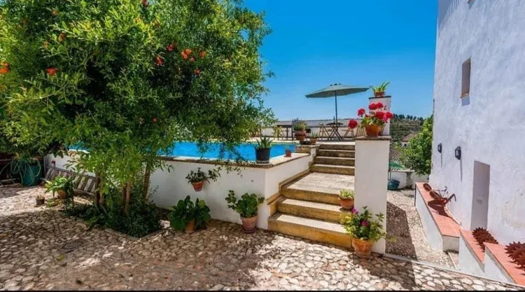 Imagen de Piscina-Terraza