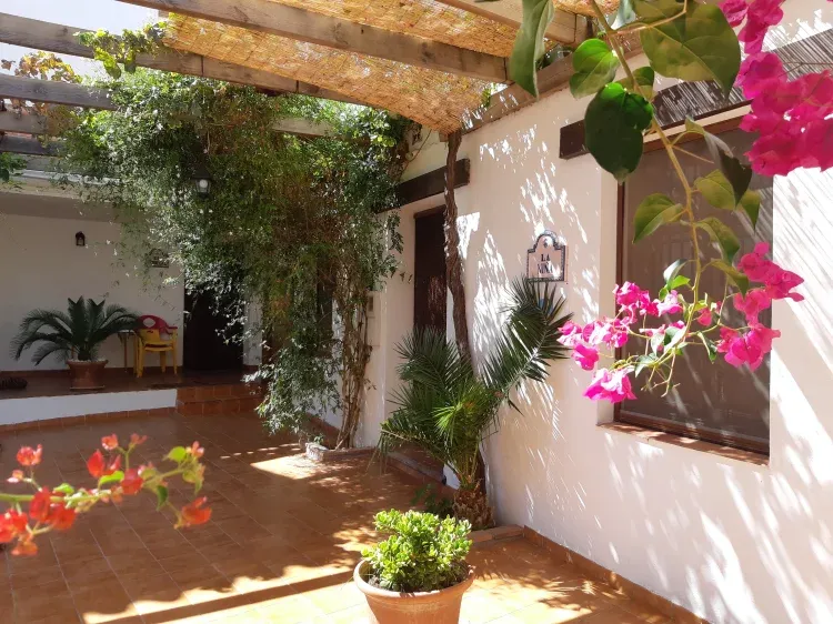 Imagen de Patio2