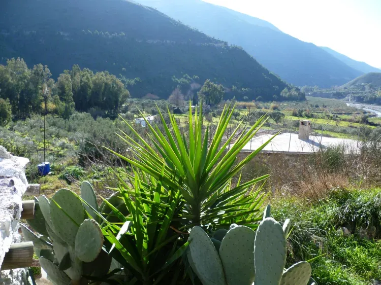 Imagen de Vistas 