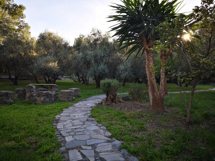 Imagen de Zona jardines