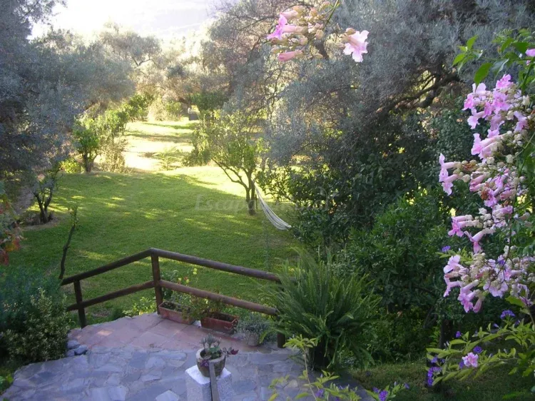 Imagen de Jardines