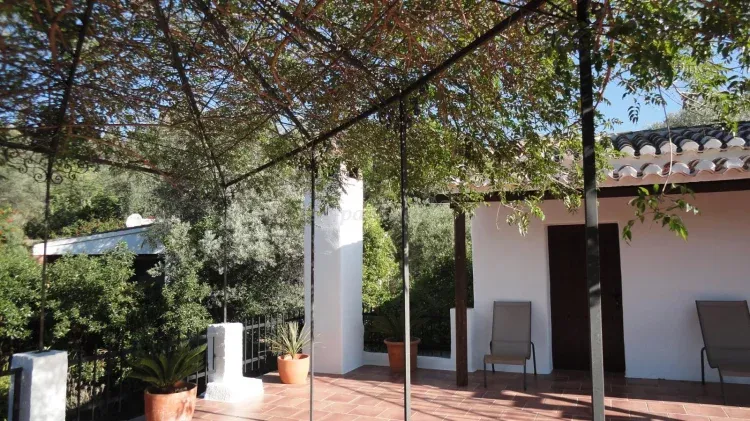 Imagen de terraza
