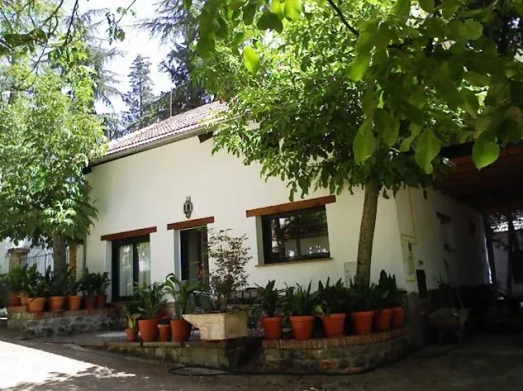 Imagen de Entrada