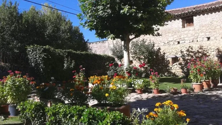 Imagen de Jardin zonas comunes