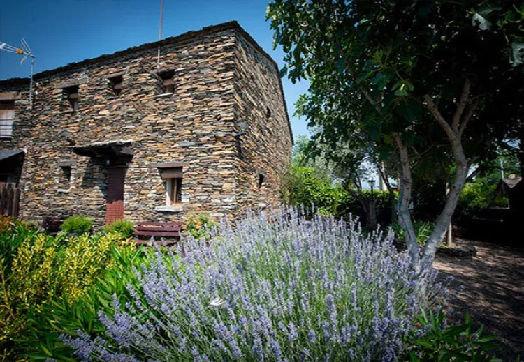 Imagen de Casa los Tres Olivos