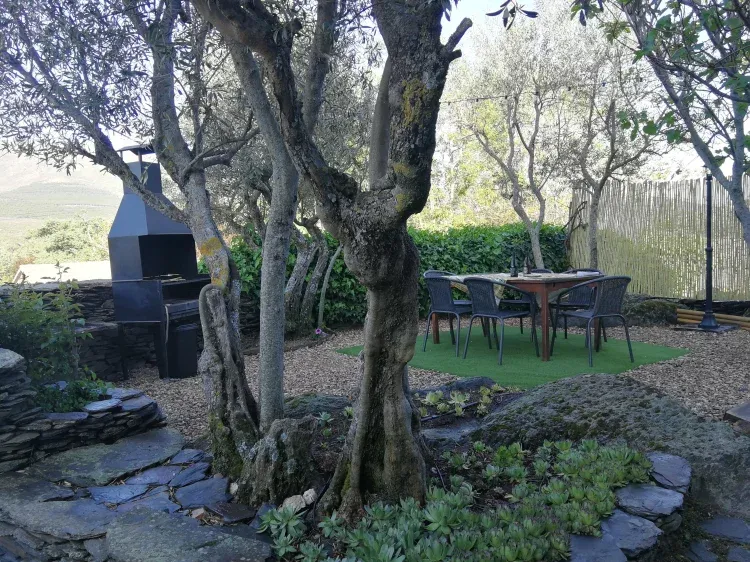 Imagen de Patio - Barbacoa