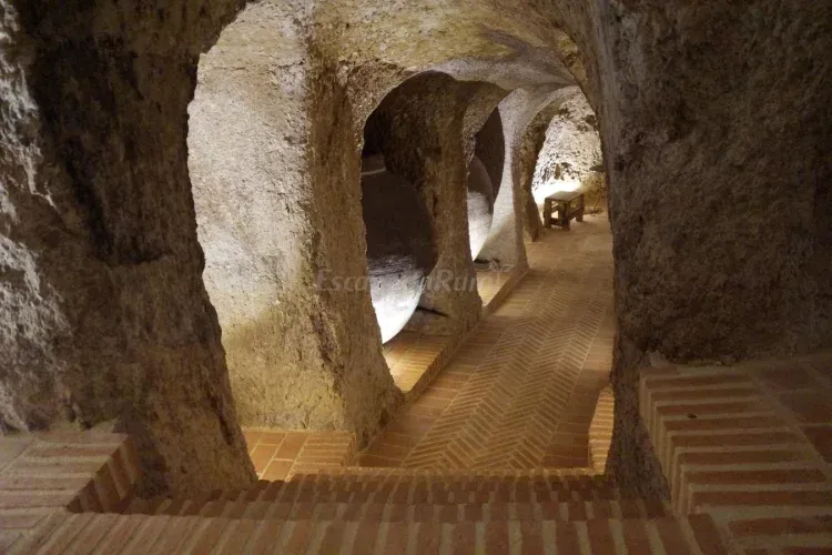 Imagen de Bodega. Zona común