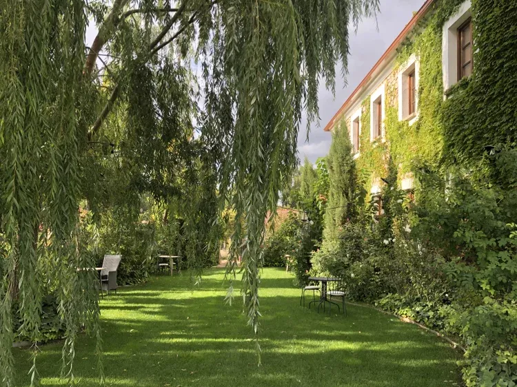 Imagen de jardín
