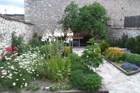 Imagen de Casa del Olivo
