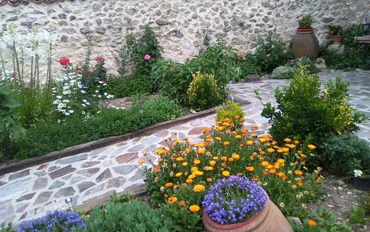 Imagen de Detalle del jardín