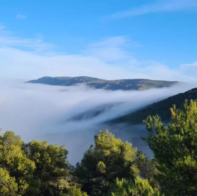 Imagen de Vistas desde porche