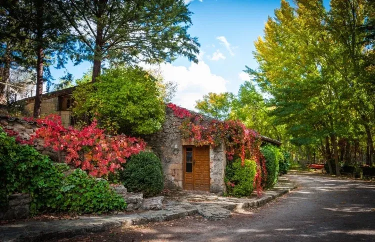 Imagen de Otoño en El Molino