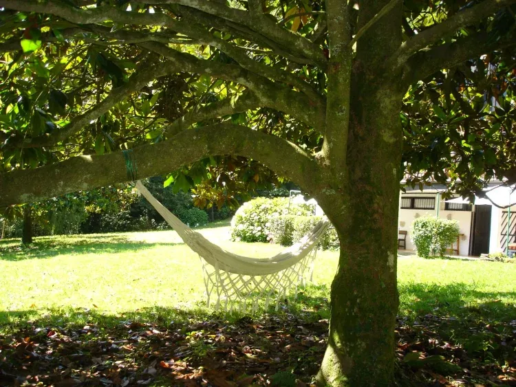 Imagen de JARDÍN.