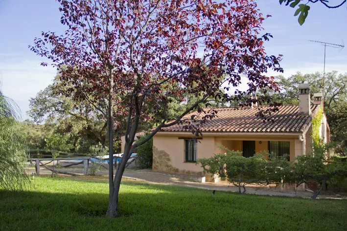 Imagen de Exteriores de Encina y El Chopo