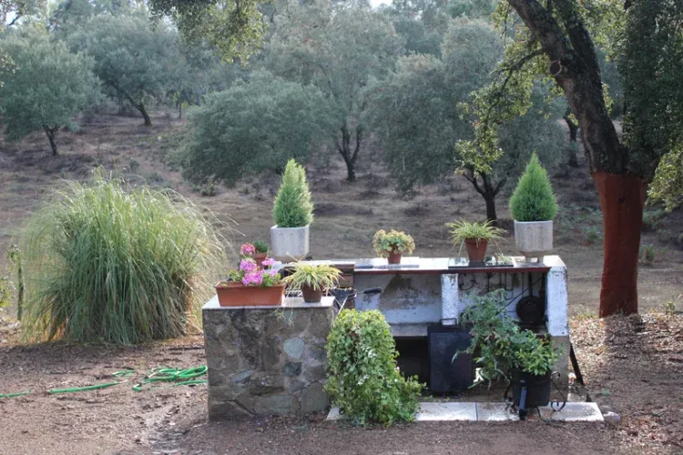 Imagen de barbacoa