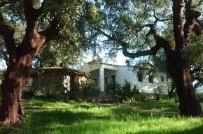 Imagen de  El Chaparral de Aracena