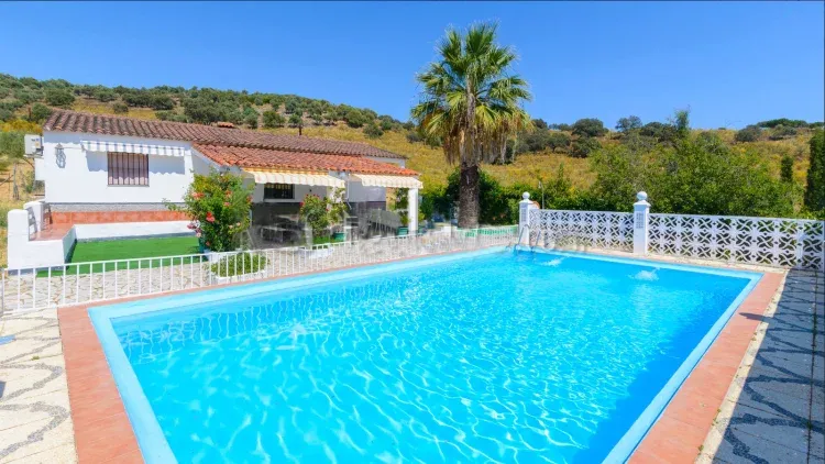 Imagen de Amplia piscina para los meses de verano 