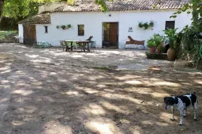 Imagen de El Molino