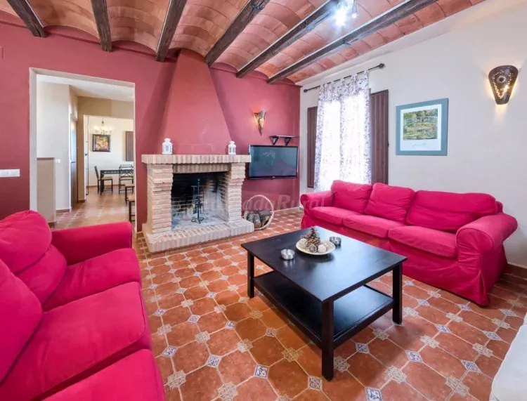 Imagen de Salón chimenea con gran amplitud