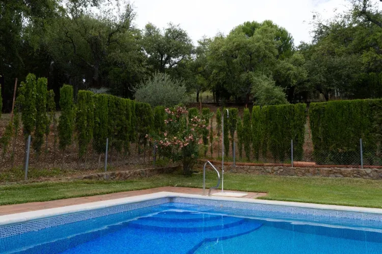 Imagen de Piscina