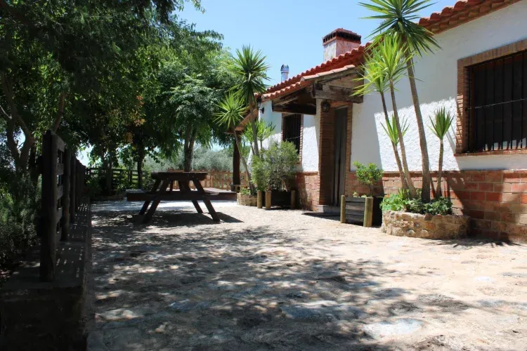 Imagen de Entrada