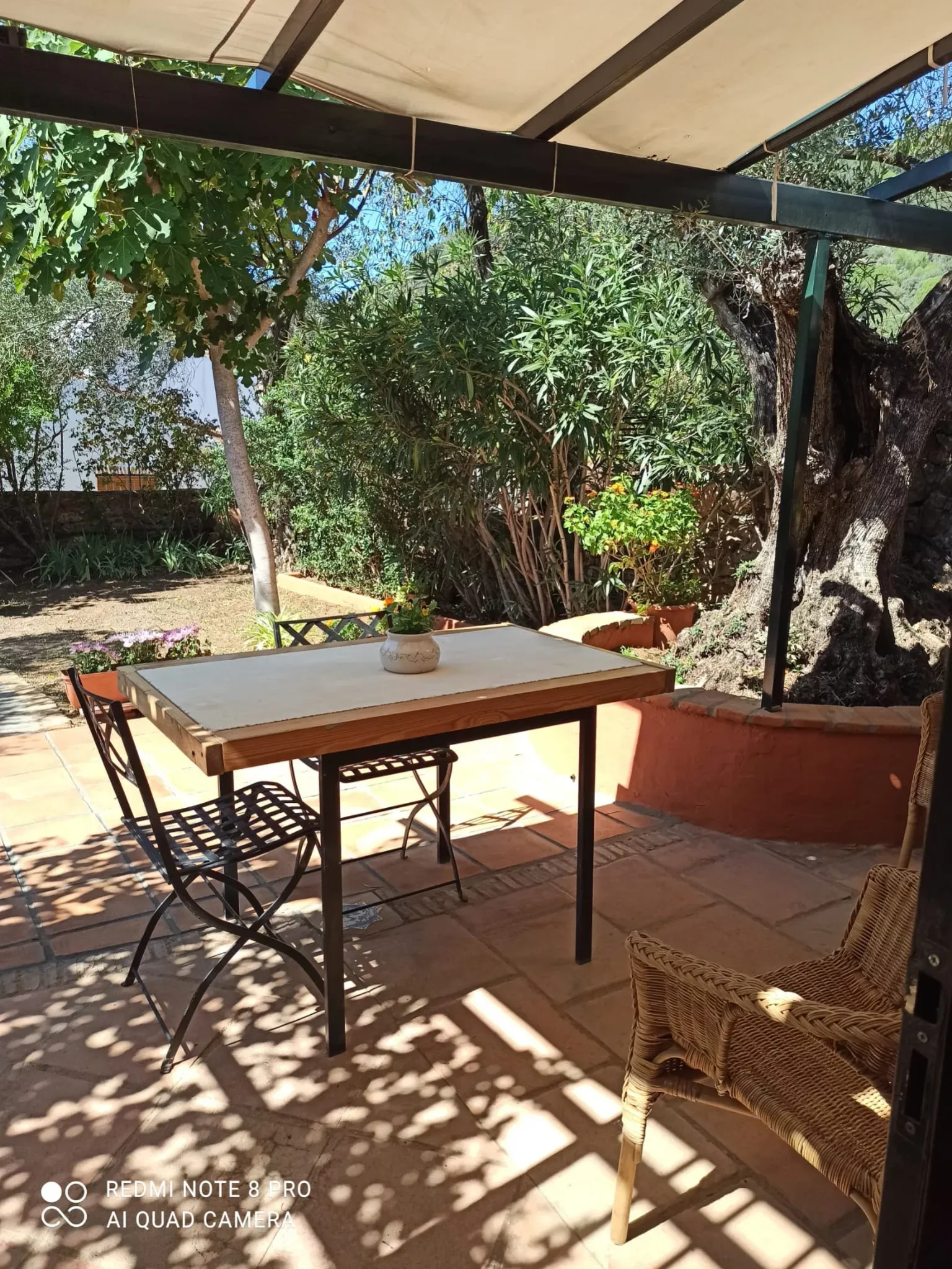 Imagen de Patio