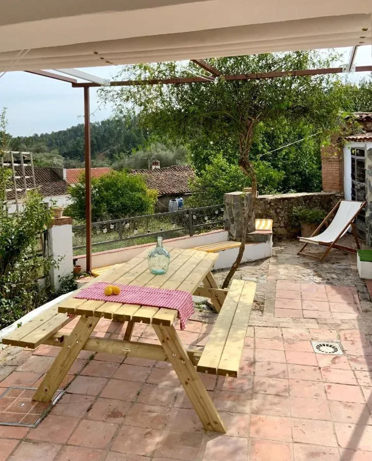 Imagen de TERRAZA / PATIO
