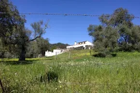 Imagen de Casa rural La Higuerilla