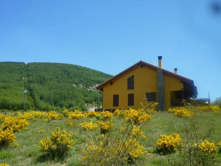 Imagen de Primavera