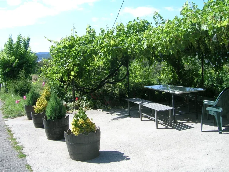 Imagen de Terraza