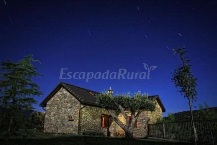 Imagen de borda amarilla