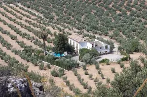 Imagen de Cortijo El Serafín