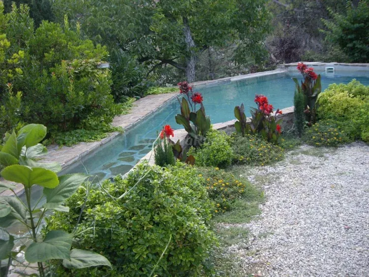 Imagen de Piscina