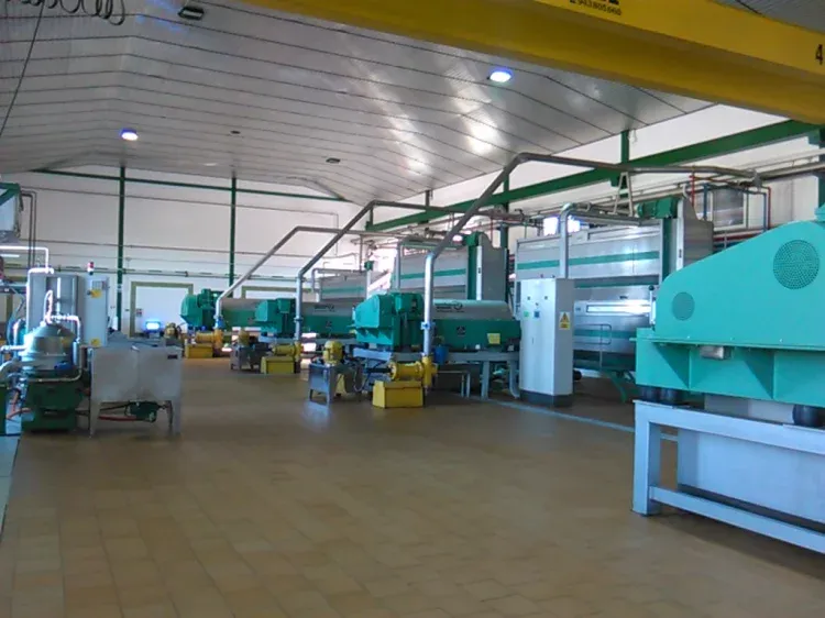 Imagen de Visita a la Almazara de la Cooperativa