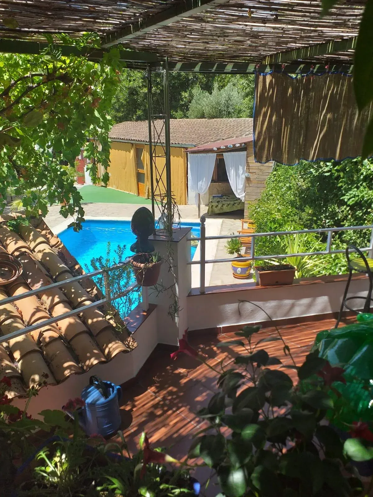 Imagen de Terraza
