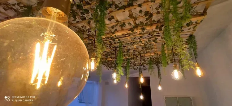 Imagen de Zona Chillout