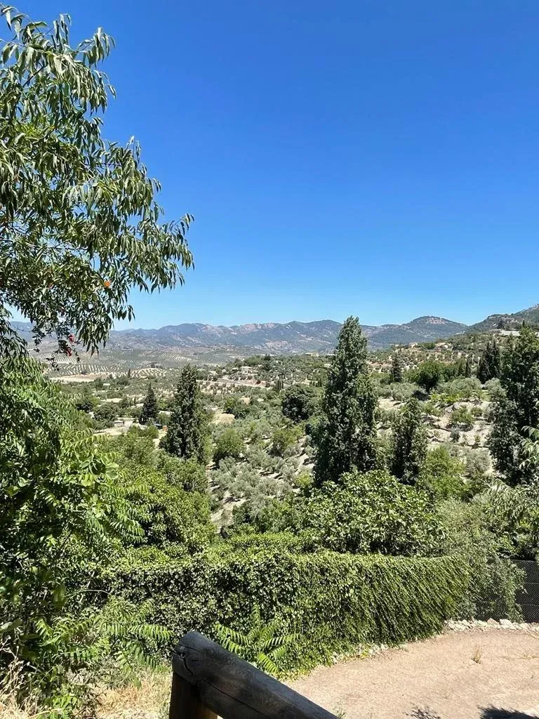 Imagen de Finca