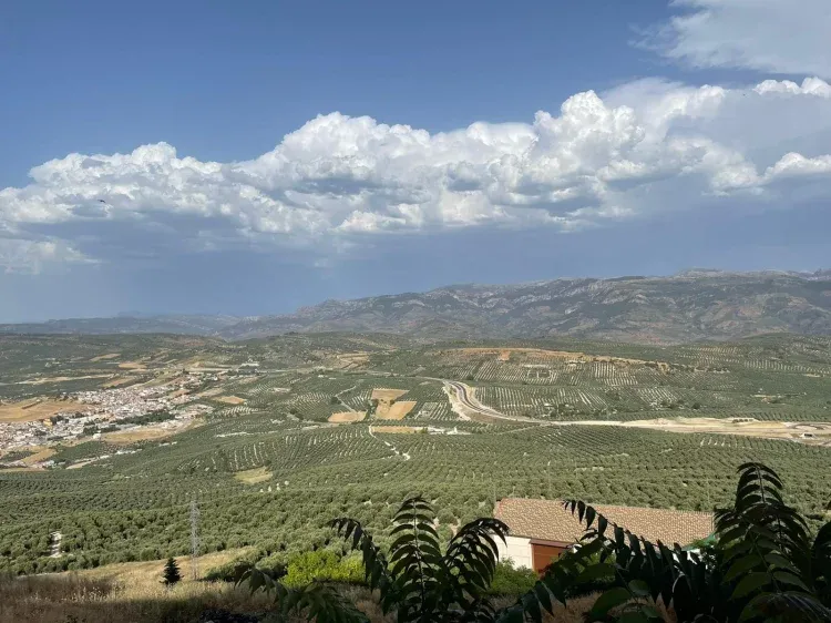Imagen de VISTAS