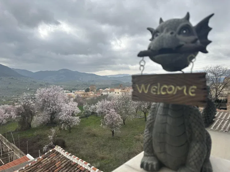 Imagen de vistas