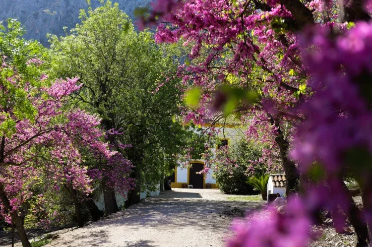 Imagen de jardín